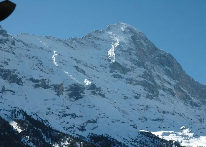 费利恩沃宏乌弗利维酒店 公寓 *