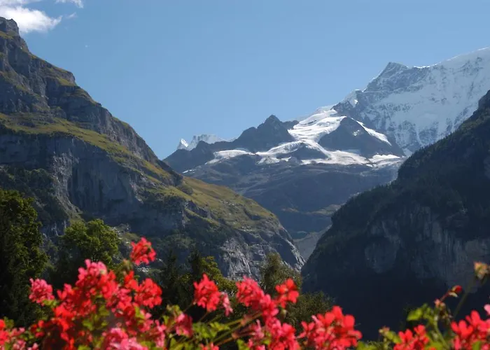 费利恩沃宏乌弗利维酒店 *