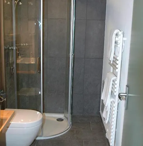 费利恩沃宏乌弗利维酒店 * 格林德瓦